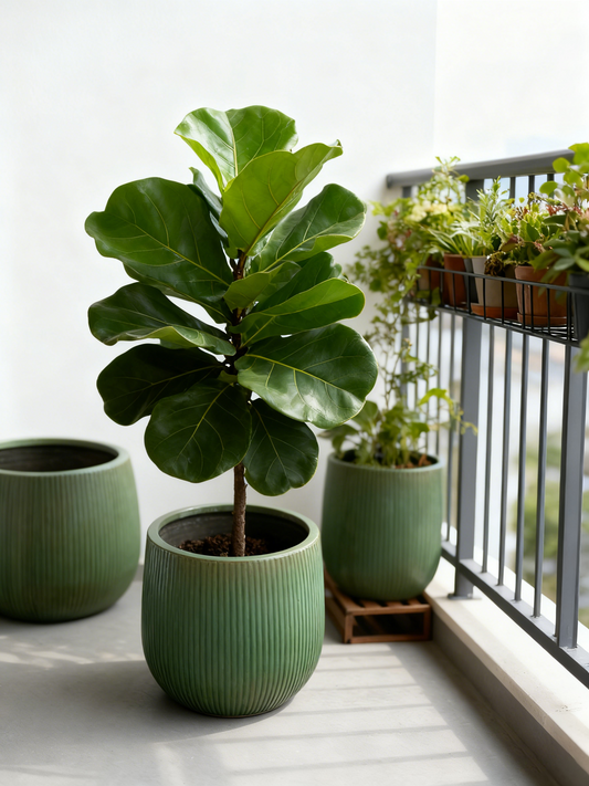 Texture Concrete Pot - Copper Green