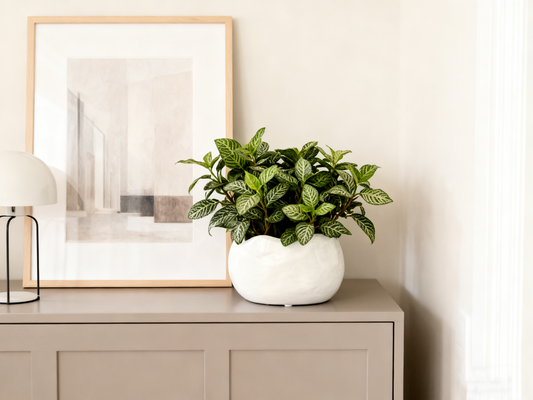 White Unique Flowerpot