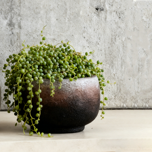 Texture Deco Flowerpot