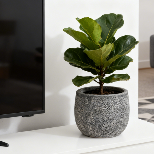 Grey Natural Flowerpot